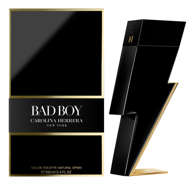Bad Boy: туалетная вода 100мл