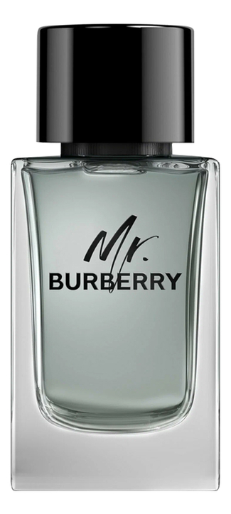 Mr. Burberry: туалетная вода 100мл уценка